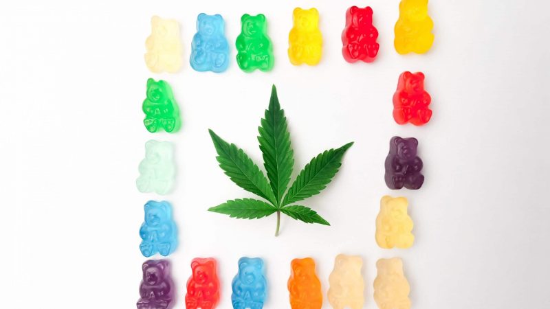 Are there any health benefits of consuming CBD Gummies?