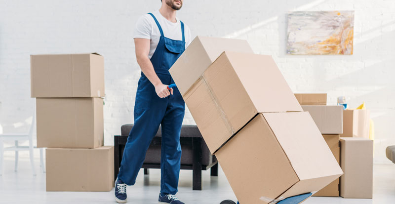 Navigating the Unique Expertise of a Specialty Moving Company in Long Island